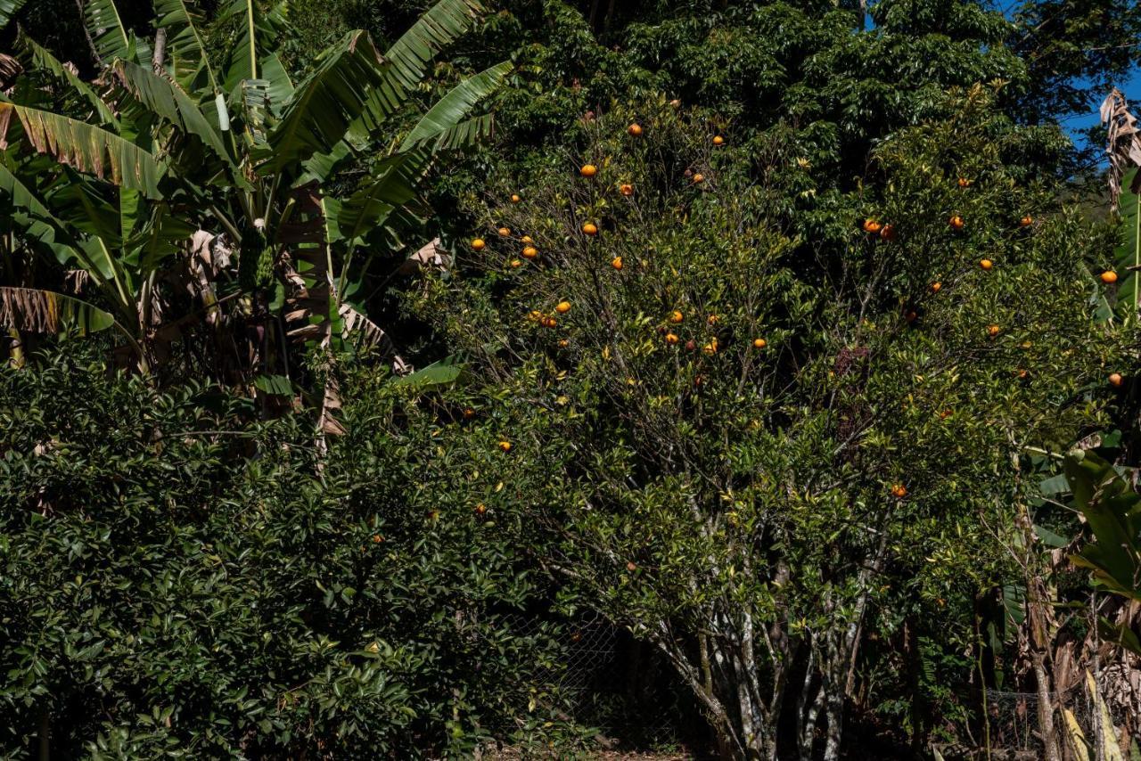 Casa di Maria. Conexão com a natureza em Lumiar. Nova Friburgo Exterior foto