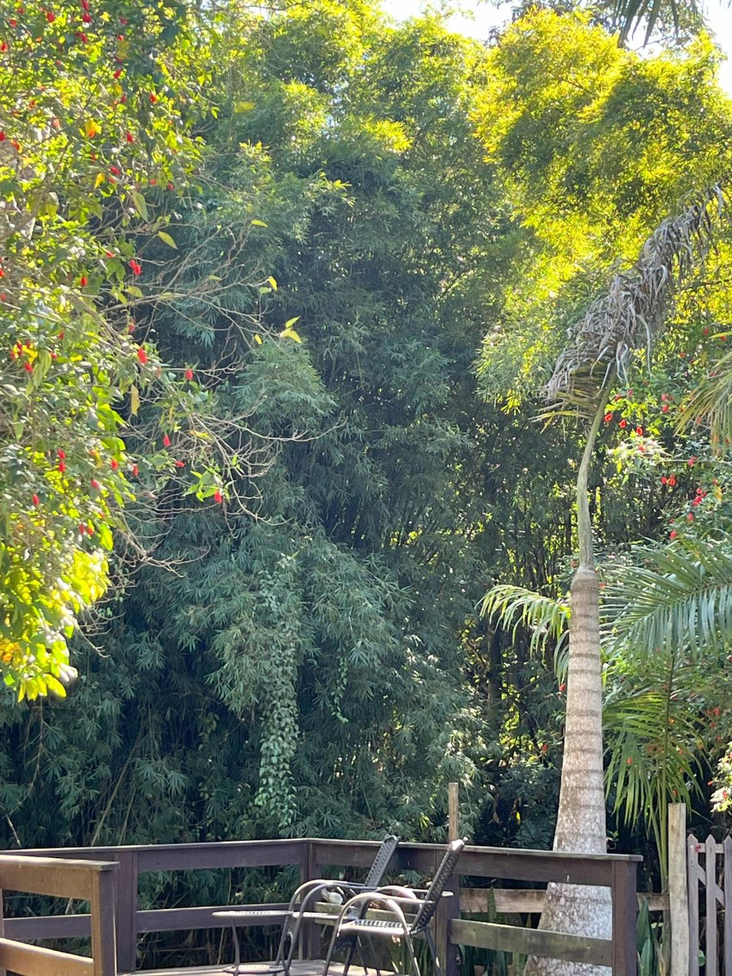 Casa di Maria. Conexão com a natureza em Lumiar. Nova Friburgo Exterior foto